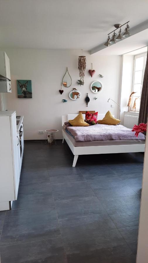 ترير Apartment Am Zurlaubener Ufer المظهر الخارجي الصورة